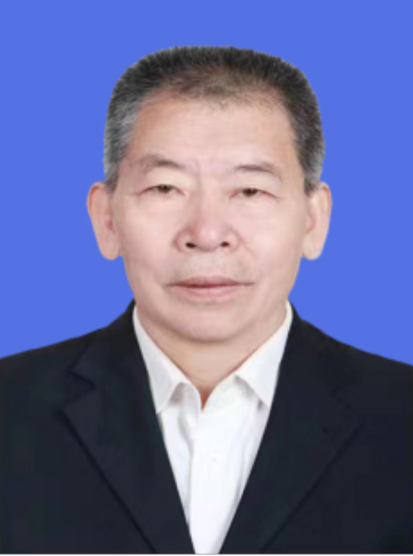 国家一级美术师王晋新