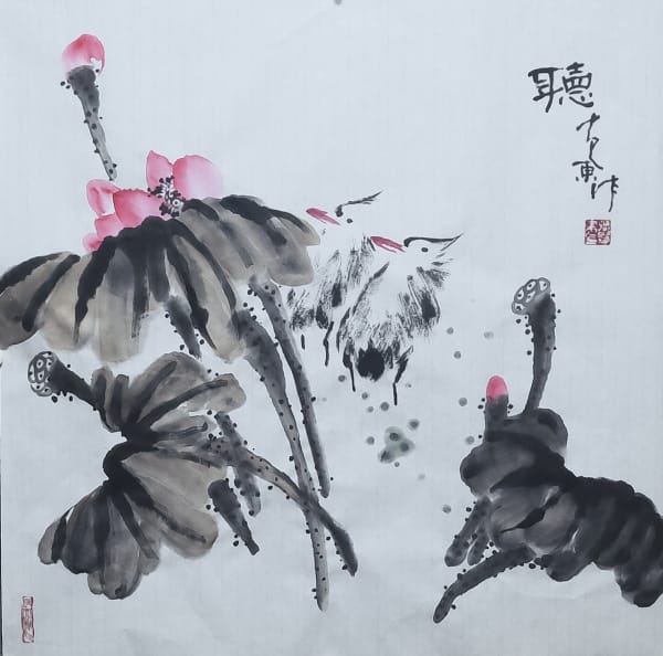 荷花作品——张贵东